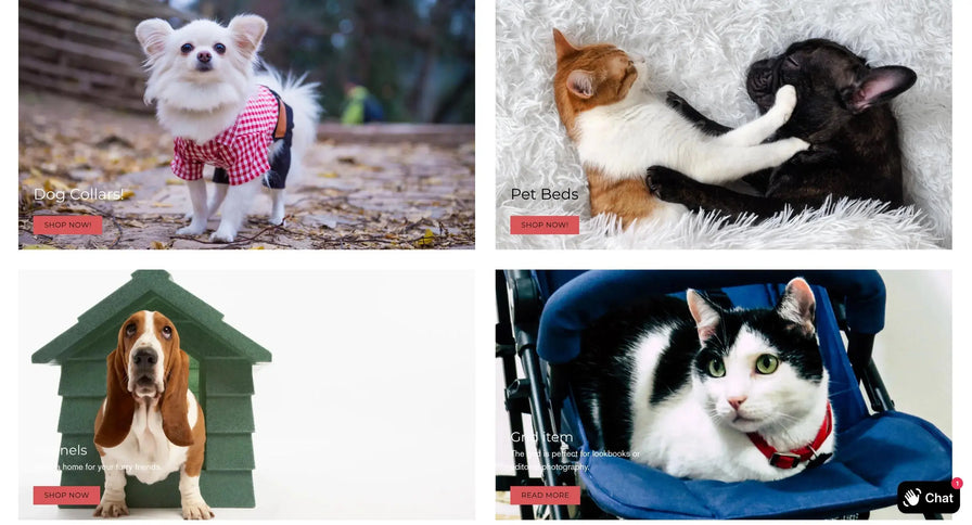 Buy This Australian Cat Supplies Dropship Business Tyack Ecommerce Solutions