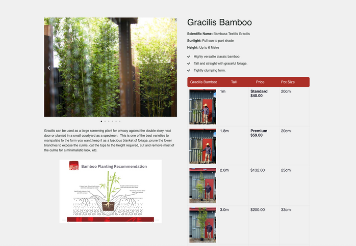 Wordpress Sites For Service Based Businesses