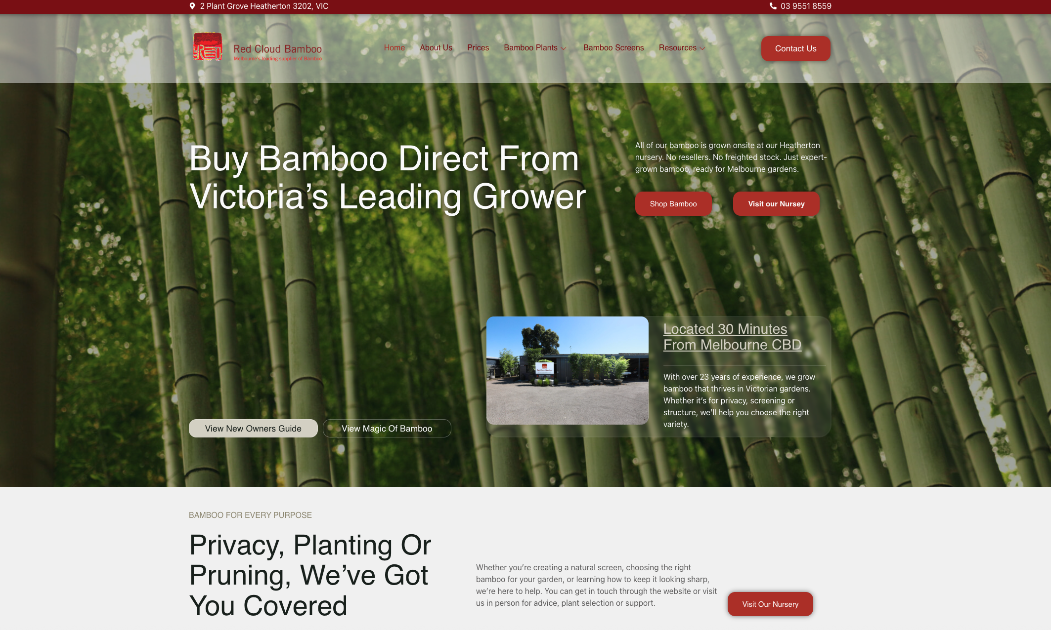 How We revitalised Red Cloud Bamboo with a New Wordpress site