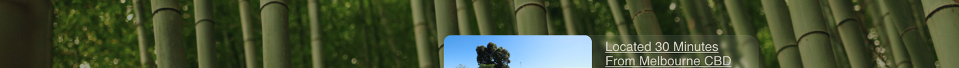 How We revitalised Red Cloud Bamboo with a New Wordpress site