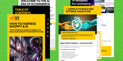 The Shopify Sidekick AI Handbook for eCommerce Entrepreneurs – By Tyack eCommerce Solutions