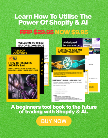 The Shopify Sidekick AI Handbook for eCommerce Entrepreneurs – By Tyack eCommerce Solutions
