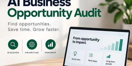 AI Business Opportunity Audit & Automation Roadmap