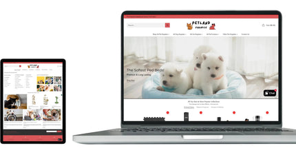 Buy This Australian Cat Supplies Dropship Business Tyack Ecommerce Solutions