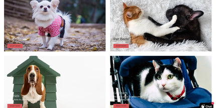Buy This Australian Cat Supplies Dropship Business Tyack Ecommerce Solutions