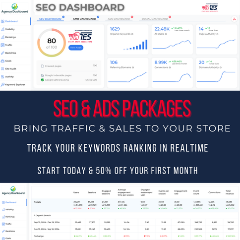 Combined SEO Google Ads Management Package - Starter Pack