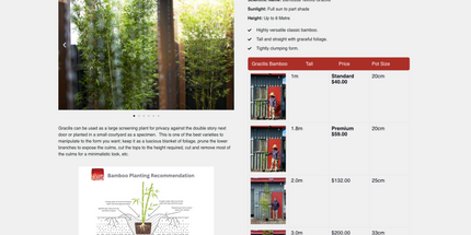 Wordpress Sites For Service Based Businesses