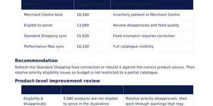 Google Ads & Merchant Centre Audit