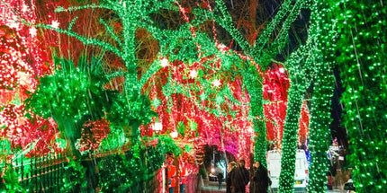 LED White Christmas Lights Outdoor, String Lights Plug in | Extendable, 8 Modes Christmas Tree Light, Timer, Durable, for Room Garden Patio Porch Wedding Christmas Halloween Decoration - Red & Green - Size 100m 1000-LED Light String with 3m Extension Cabl