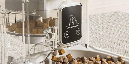 Smart Camera Pet Feeder with HD Camera, 4L Automatic Dog & Cat Food Dispenser with Wi-Fi, 2-Way Audio, Timer & Remote Control for Small/Medium Pets Tyack eCommerce Solutions