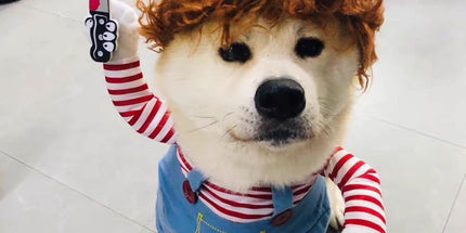 Pet Deadly Doll Dog Costume, Cosplay Halloween Christmas Funny Clothes Party Costume for Small Medium and Large Dogs - Blue - Size M