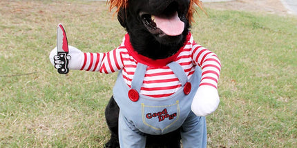 Pet Deadly Doll Dog Costume, Cosplay Halloween Christmas Funny Clothes Party Costume for Small Medium and Large Dogs - Blue - Size S