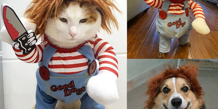 Pet Deadly Doll Dog Costume, Cosplay Halloween Christmas Funny Clothes Party Costume for Small Medium and Large Dogs - Blue - Size S