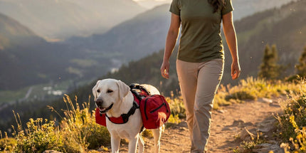 Dog Harness Storage Bags For Dogs Pet Accessories Dog Outdoor Gear High-Quality - Red - Size L