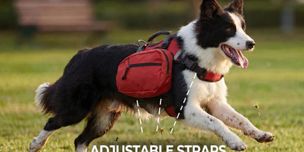 Dog Harness Storage Bags For Dogs Pet Accessories Dog Outdoor Gear High-Quality - Red - Size M