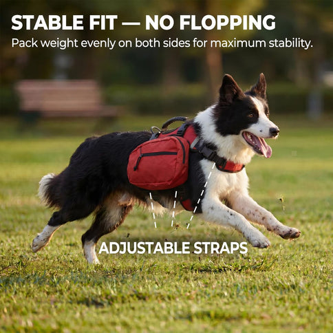 Dog Harness Storage Bags For Dogs Pet Accessories Dog Outdoor Gear High-Quality - Red - Size M