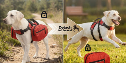 Dog Harness Storage Bags For Dogs Pet Accessories Dog Outdoor Gear High-Quality - Red - Size M