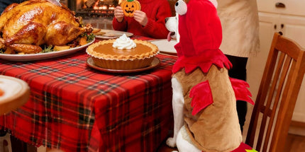 Dog Costumes Dog Turkey Costume, Thanksgiving Costume Pet Clothes Apparel for Thanksgiving Christmas Cosplay for Small Medium and Large Dogs - Brown - Size L