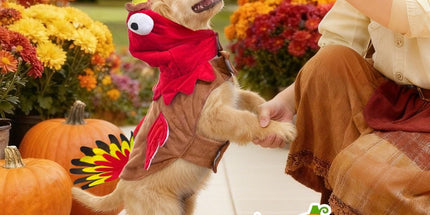 Dog Costumes Dog Turkey Costume, Thanksgiving Costume Pet Clothes Apparel for Thanksgiving Christmas Cosplay for Small Medium and Large Dogs - Brown - Size M
