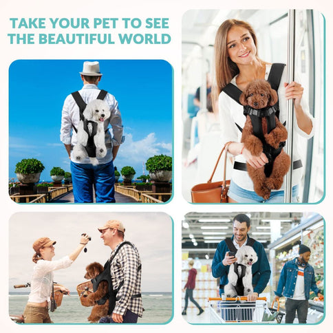 Dog Harness Storage Bags For Dogs Pet Accessories Dog Outdoor Gear High-Quality - Black - Size L