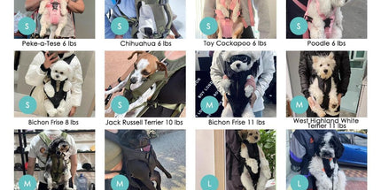 Dog Harness Storage Bags For Dogs Pet Accessories Dog Outdoor Gear High-Quality - Black - Size L