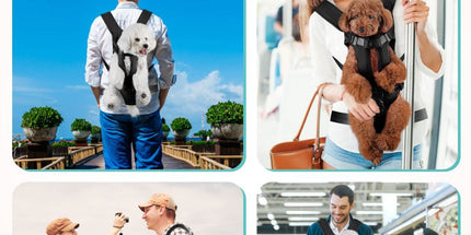 Dog Harness Storage Bags For Dogs Pet Accessories Dog Outdoor Gear High-Quality - Black - Size S