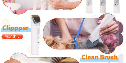 All-in-One Pet Grooming Vacuum Kit with Electric Clipper & Brushes for Dogs and Cats, Low Noise & Strong Suction (Grey)