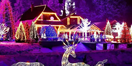 Lighted Christmas Deer Reindeer Family With Led Lights