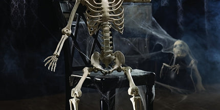 Life Size Standing Skeleton with Movable Joints