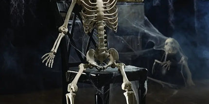 Life Size Standing Skeleton with Movable Joints