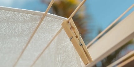 50 Pcs Eco Bamboo Clothes Pegs