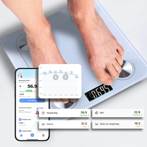 Clevinger Bluetooth Smart Digital Glass Bathroom Scale
