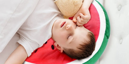 Two-Way Reversible Microfibre Travel Pillow-Watermelon