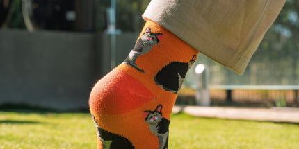 8 Pairs Fashion Novelty Funny  Socks one Size 5-13 Men  Socks  Women  Socks #1