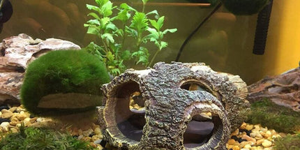 Aquarium Decoration Resin ROot, Aquarium Cave Tree Decoration Artificial Cave For Aquarium Ornaments Home Decor Garden