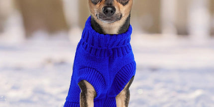 Dog Coat - Dog Sweater - Small Dog Sweater - Warm Dog Coat - Warm Puppy Sweater - Thick Knit Winter Sweater - Soft Roll Neck Sweater - Perfect for Small Dogs and Puppies - Christmas - Size M