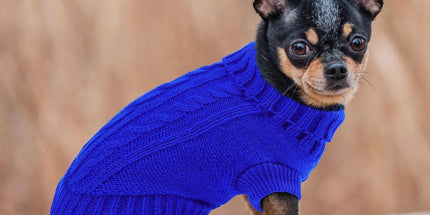 Dog Coat - Dog Sweater - Small Dog Sweater - Warm Dog Coat - Warm Puppy Sweater - Thick Knit Winter Sweater - Soft Roll Neck Sweater - Perfect for Small Dogs and Puppies - Christmas - XL