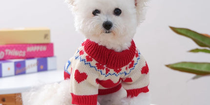 Dog Coat - Dog Sweater - Warm Winter Dog Clothes - Knit Sweater - Dog Pullover - Lightweight and Warm Cat Sweater - Perfect for Chihuahuas - Birthday Clothes - Christmas Decorations - Christmas - Size M