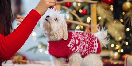 Dog Sweater - Christmas Dog Sweaters - Sleeveless Dog Sweaters - Dog Coat - Warm Autumn and Winter Puppy Sweater - Ugly Sweater - Perfect for Small Dogs - Dog - Medium - New Year's Holidays - XL
