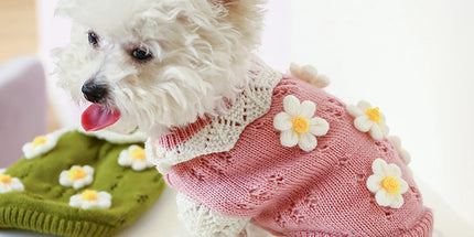 Dog Coat - Dog Sweater - Sweater for Small Dogs - Cute Floral Sweater for Girls - Winter Knitted Sweater - Lightweight and Warm Cat Sweater - Birthday, Party, Party Decoration, Christmas - Size L