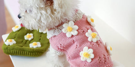 Dog Coat - Dog Sweater - Sweater for Small Dogs - Cute Floral Sweater for Girls - Winter Knitted Sweater - Lightweight and Warm Cat Sweater - Birthday, Party, Party Decoration, Christmas - Size L