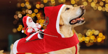 Dog Costume Christmas - Christmas Clothing For Dog/Cat - Christmas Outfit For Puppies - Hooded Dog Christmas Suit - Dog Christmas Clothing - Funny Dog Christmas Costume - Size XXL - Dog Fancy Dress Costumes - Dog Clothing - Pet Christmas Costume - Christm