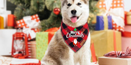 Christmas Dog Bandana - Neck Scarf For Your Pet Bandana Dog Dog Cat - Triangular Cloth - For Small, Medium And Large Puppies - Adjustable Bandana - Red/Green