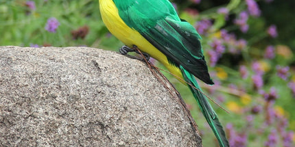 Fake Parrot, 10 x 0.4 Inch Realistic Artificial Birds Model, Fade Birds for Garden Patio Yard Lawns Tropical Tree Wall, Decorative Birds Green