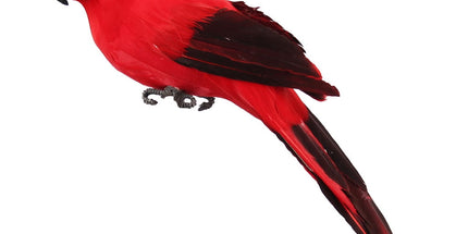Fake Parrot, 10 x 0.4 Inch Realistic Artificial Birds Model, Fade Birds for Garden Patio Yard Lawns Tropical Tree Wall, Decorative Birds Red
