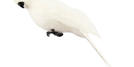 Fake Parrot, 10 x 0.4 Inch Realistic Artificial Birds Model, Fade Birds for Garden Patio Yard Lawns Tropical Tree Wall, Decorative Birds White