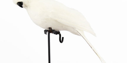 Fake Parrot, 10 x 0.4 Inch Realistic Artificial Birds Model, Fade Birds for Garden Patio Yard Lawns Tropical Tree Wall, Decorative Birds White