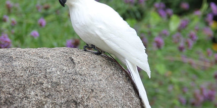 Fake Parrot, 10 x 0.4 Inch Realistic Artificial Birds Model, Fade Birds for Garden Patio Yard Lawns Tropical Tree Wall, Decorative Birds White