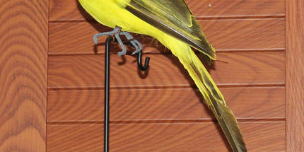 Fake Parrot, 10 x 0.4 Inch Realistic Artificial Birds Model, Fade Birds for Garden Patio Yard Lawns Tropical Tree Wall, Decorative Birds Yellow