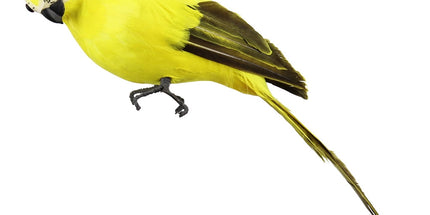 Fake Parrot, 10 x 0.4 Inch Realistic Artificial Birds Model, Fade Birds for Garden Patio Yard Lawns Tropical Tree Wall, Decorative Birds Yellow